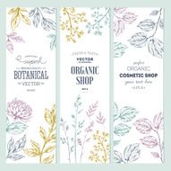 Botanical banner collection Organic cosmetic Vector illustration N4