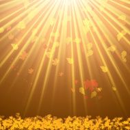 Autumn abstract background with leaf N30