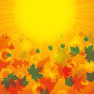 Autumn abstract background with leaf N31