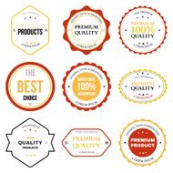 Set of retro vintage badges and labels N6