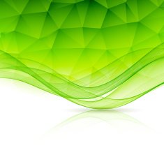 Abstract color template background with wave and low poly N2