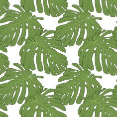 Monstera pattern