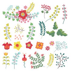 Vectorset with vintage flowers items Flowers branches berries N2