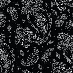 Seamless Paisley background N56