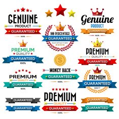 Set of retro vintage badges and labels N3