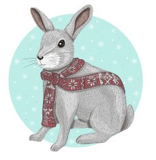 Cute rabbit with scarf winter background N2