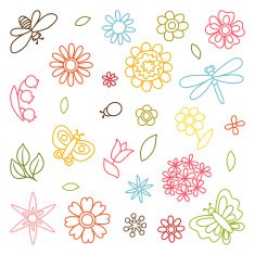 Natural set of beautiful flowers beetles and butterflies