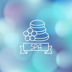 Spa wellness label on blurred background N3