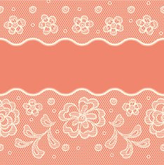 Seamless lace pattern flower vintage vector background N10
