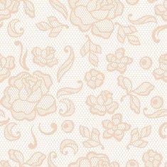 Vintage lace background ornamental flowers Vector texture N16