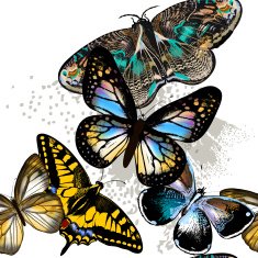 Fashion seamless pattern with colorful butterflies
