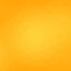 Abstract modern orange polygon background vector illustration N2