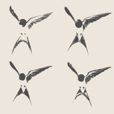 Hand drawn swallow vector illustration N2