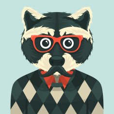 Hipster Raccoon N4