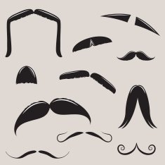 vector mustache set N2