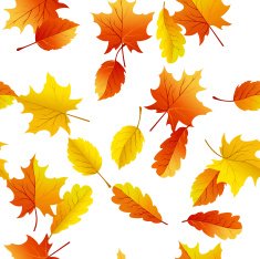 maples leaves seamless N3