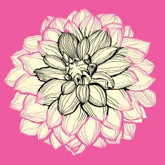 Flower decorative background N2