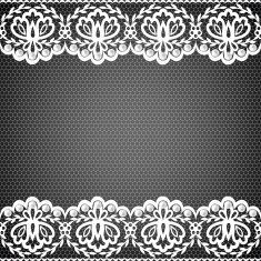lace fabric background N46