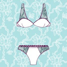 Hand drawn vector sexy lingerie set N20