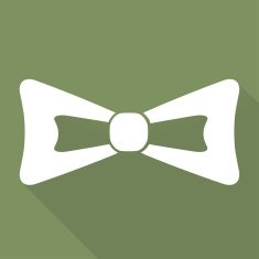 Bow Tie Icon N10