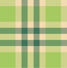 Color fabric plaid Seamless vector illustration N6