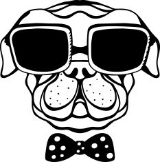 Dog with bow tie and glasses