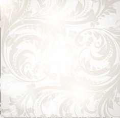 Floral Retro Background for Vintage Design N1335