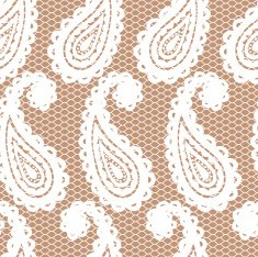Lace seamless pattern with paisley N8