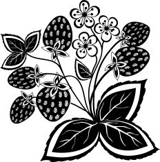 black and white abstract strawberry flower with leaves