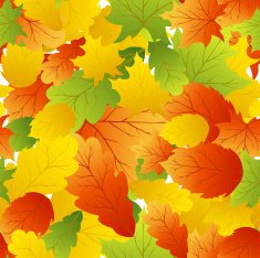 maples leaves seamless N4