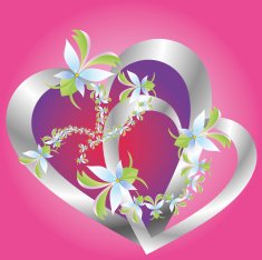 Valentine's Day N45