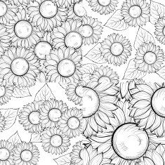 set of beautiful black and white seamless background with sunflowers