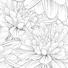 Beautiful monochrome black and white seamless background with flowers dahlia
