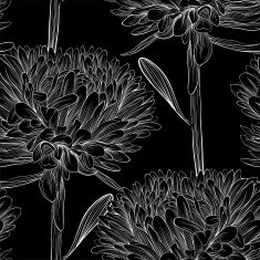 Beautiful monochrome black and white seamless background with flowers aster