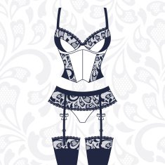 Fashion female lingerie with vintage lace ornament N5