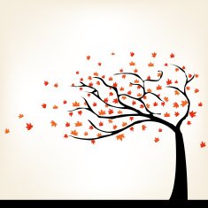 Autumn Tree N23