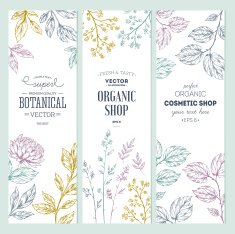 Botanical banner collection Organic cosmetic Vector illustration N4
