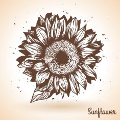 Sunflower in vintage style N2