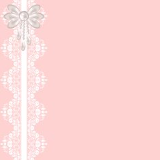 lace fabric background N47