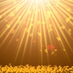 Autumn abstract background with leaf N30