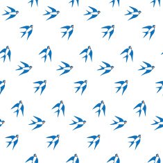 Swallow in the sky pattern N3