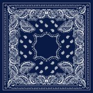 Blue Bandana