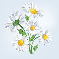 Bouquet camomile Greeting card with flowers - Illustration N2