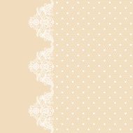 lace N19