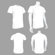 White T-Shirt Template - Vector Illustration N2
