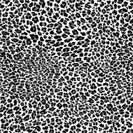 leopard pattern N18