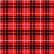 Seamless tartan pattern N49