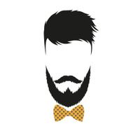 Fashion silhouette hipster style vector illustration N35