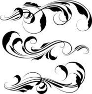swirl N18