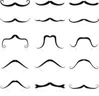 Whiskers silhouette N3